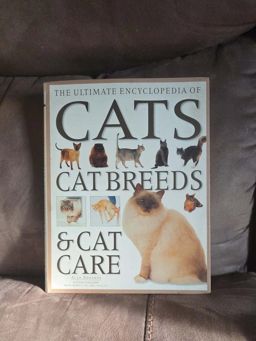 The Ultimate Encyclopedia of Cats: Cat Breeds & Cat Care — Beige Cover